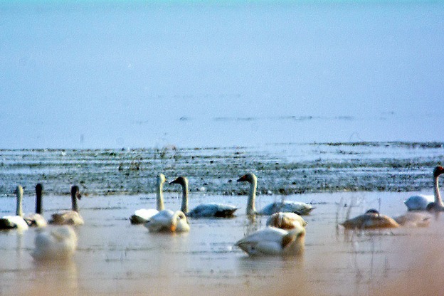 China's largest freshwater lake sees rising water level