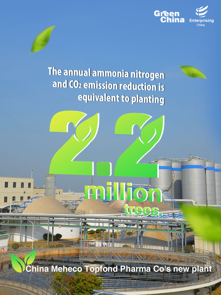 Genertec China Meheco Topfond Pharma Co's new plant