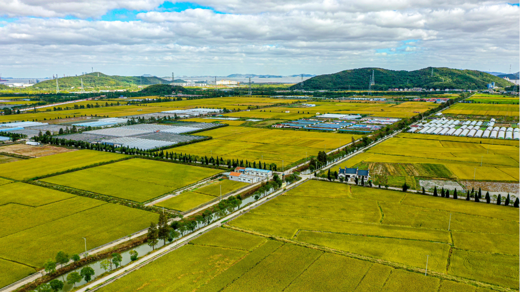 Zhoushan's GDP up 7.1% in Q1