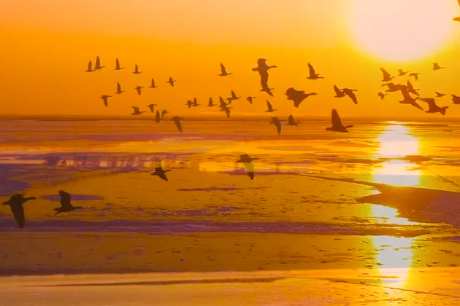 Nine provinces and regions along the Yellow River