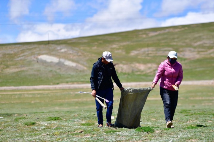 Qinghai pledges to further green development