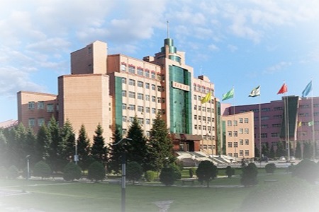Jiamusi University
