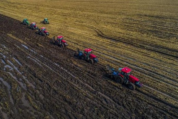 Researchers comprehensively diagnose black land in NE China