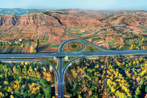 Graduates pushing Gansu produce online