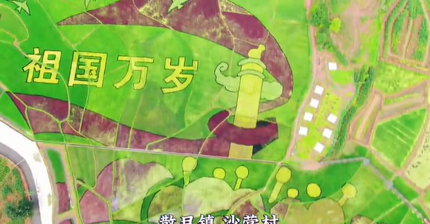 Rice drawings in Kunming a tribute to rural development