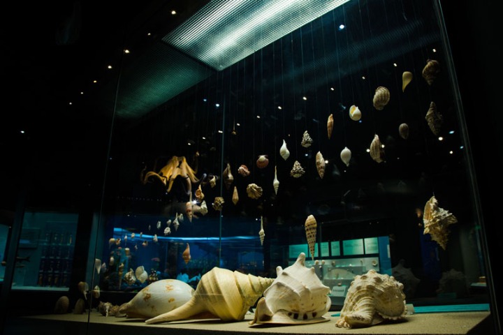 Tianjin Natural History Museum