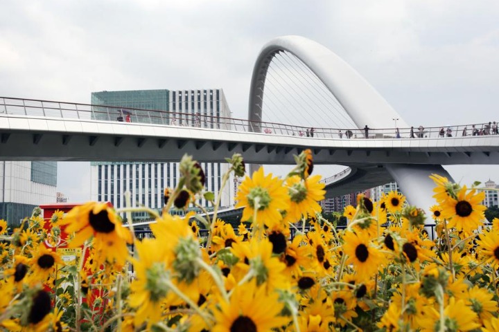New footbridge opens across Pearl River in Guangzhou