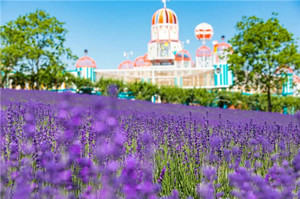 Shanghai International Resort a May Day holiday tourism hit