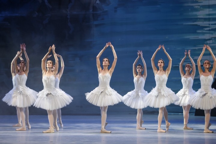 'Swan Lake' charms Zunyi in Guizhou