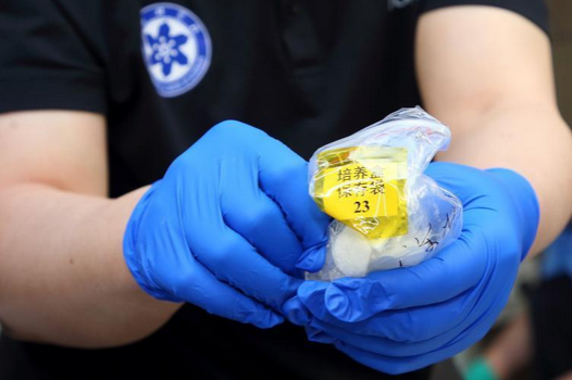 Scientific experimental samples brought back to Earth, delivered to scientists