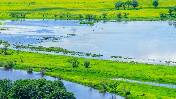 Zhenbaodao Wetland National Nature Reserve | www.chinaservicesinfo.com