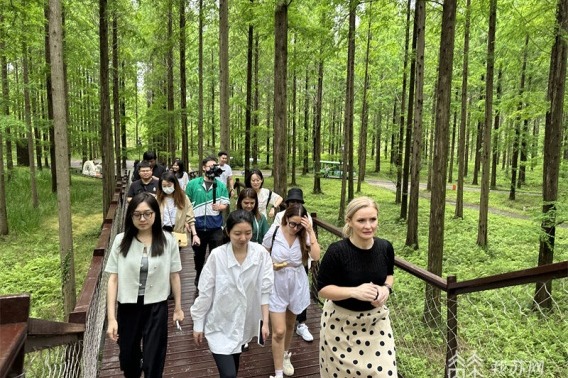 Expats enchanted by natural beauty in Yancheng