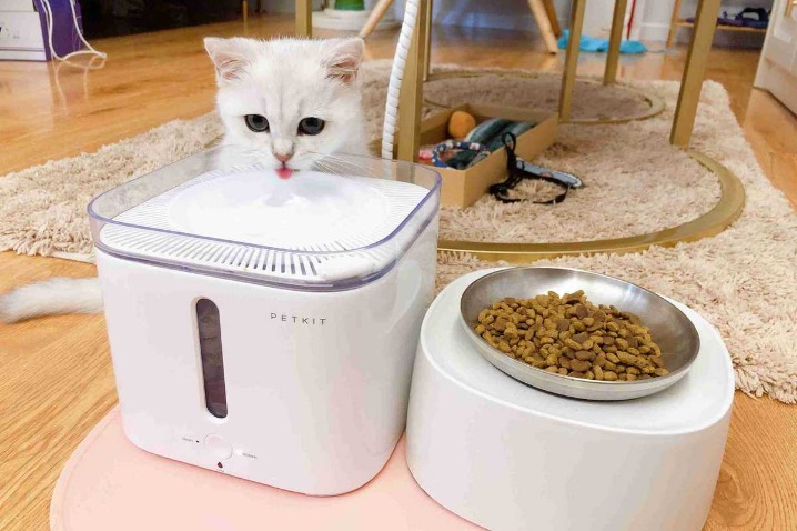 China's pet economy shows huge growth potential