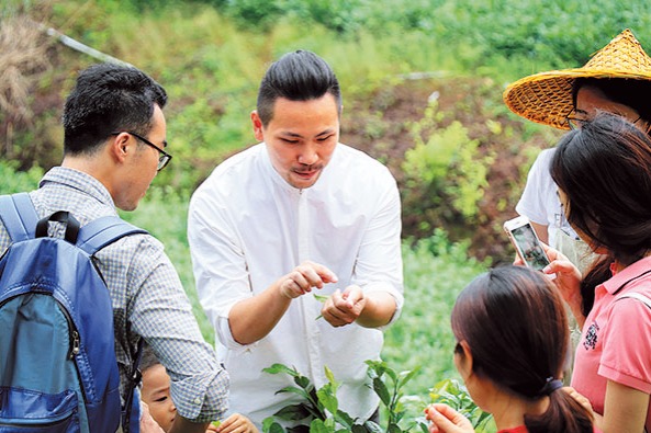 Celebrating tea on 'Alishan Mountain of the mainland'