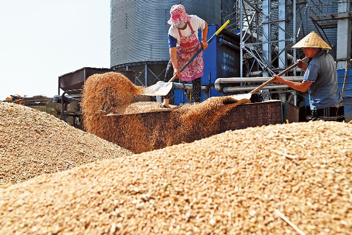 Draft law to protect food security