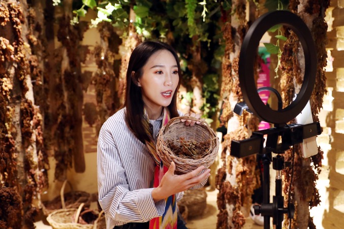 Xinjiang sees more market entities among better business environment