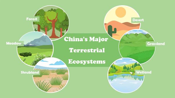 China's major terretrial ecosystems