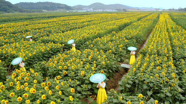 Zhoushan sees progress in upgrading urban, rural landscapes