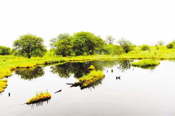 Chongqing gets its 3rd World Heritage Site