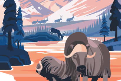 Biodiversity rebounds in Qinghai