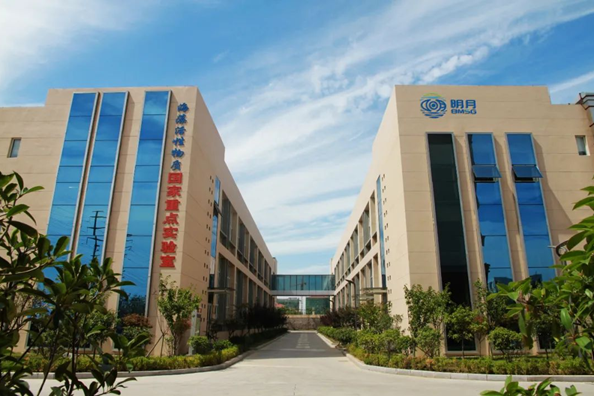 Enterprise in WCNA receives Shandong Time-honored Brand recognition