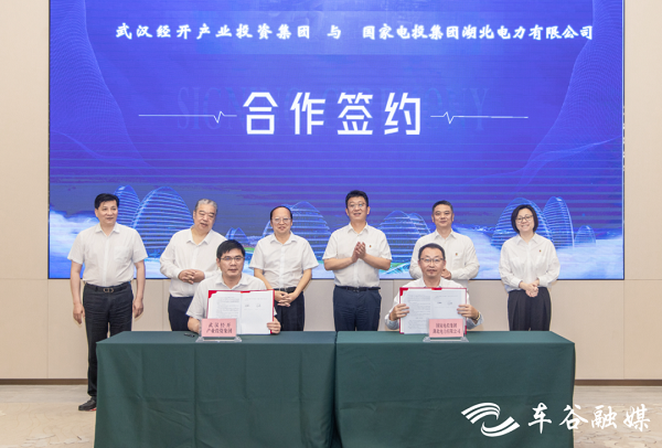 SPIC's power firm sets up operation in WEDZ