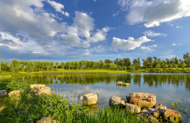 Daxing makes strides in biodiversity protection