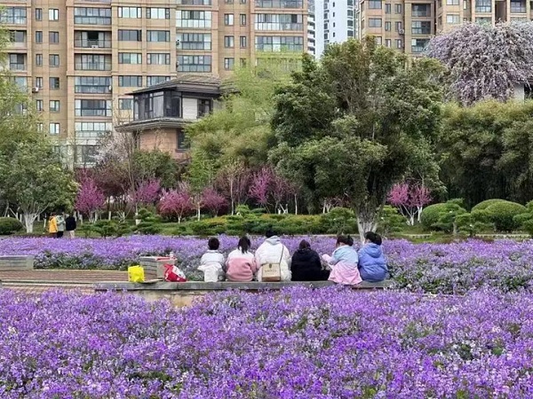 Yunhu Park: a perfect site for outings
