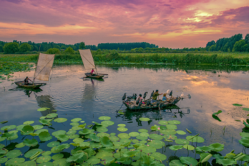 Jining's Weishan Lake receives national 5A-level scenic area ranking