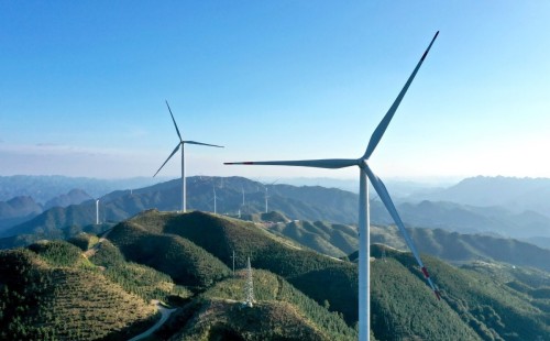 August 15 chosen as 1st National Ecology Day