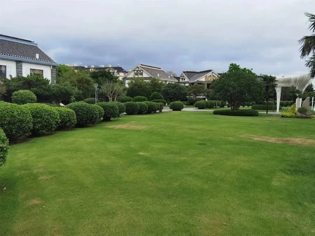 Free camping sites in Zhoushan