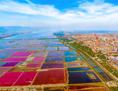 Shanxi's Salt Lake looks like artist's palette