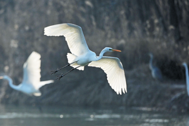 Shanxi resolute in bid to rescue Yellow River