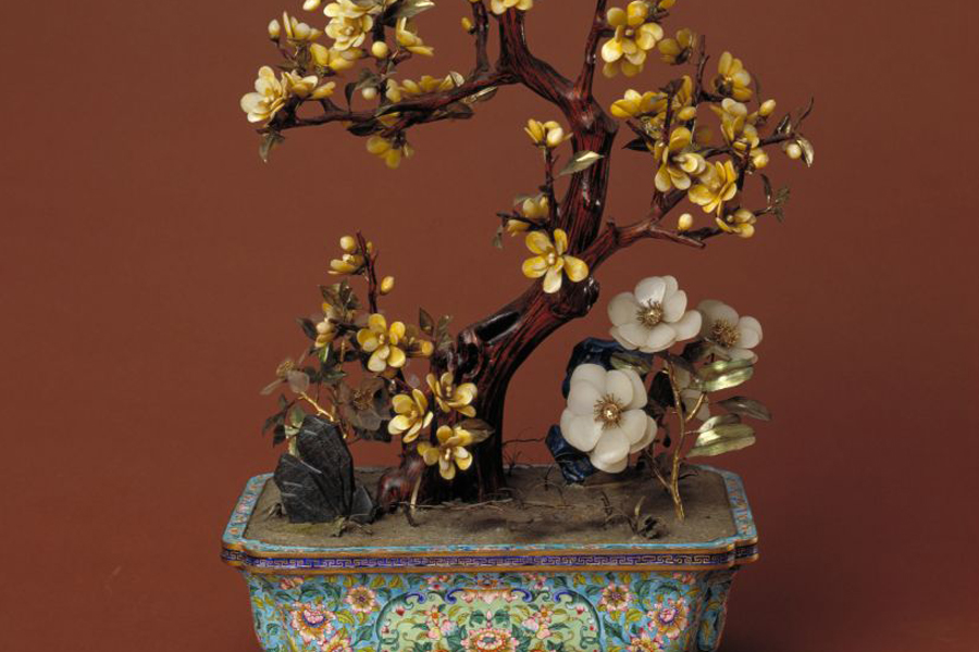 Wintersweet flowers bloom in a rectangular pot