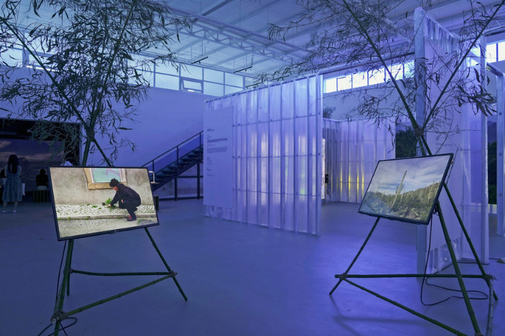 Chinese, French artists exhibit works of ecological concern in Beijing