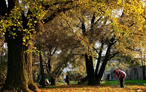 Taizhou city enjoys temperate conditions