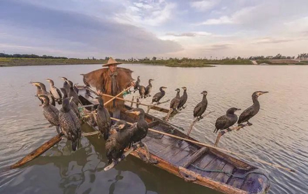 Seeking serenity in Taizhou's countryside: A May Day getaway (II)