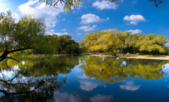 Shanghai Gongqing National Forest Park