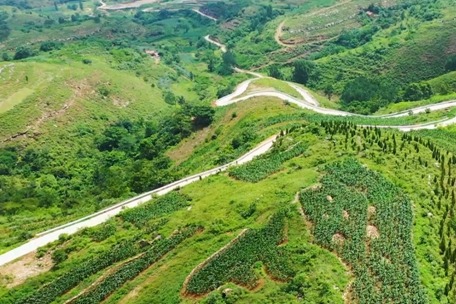 Zibo city's Yiyuan county recognized for top rural roads