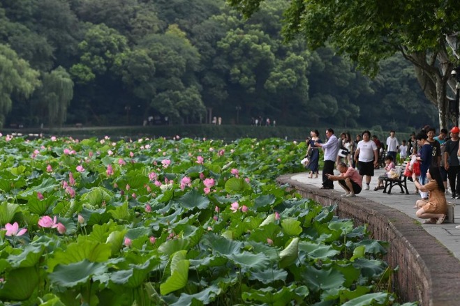 Tourism operators expect to net profits