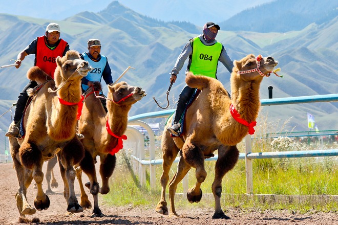 Horse race kicks off in Gansu