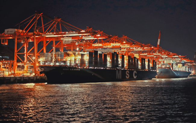 Zhoushan's foreign trade sees robust growth in H1