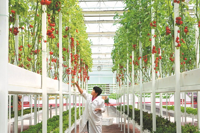 Villages become entrepreneurship hubs for youngsters in Chongqing