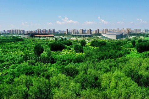 Beijing, Tianjin, Hebei courts pledge to improve environmental case hearings