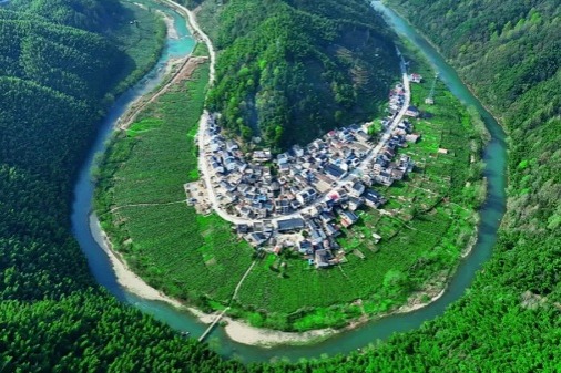 Mingzhou village: An organic green tea haven in Huangshan