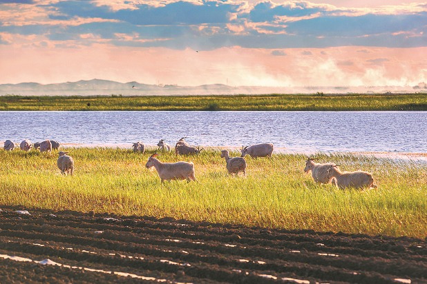 Wildlife returns to famous lake in wake of cleanup