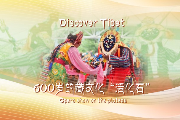 Tibetan opera shines in Shoton Festival