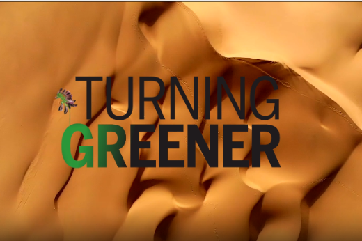 Ordos: turning a desert land green