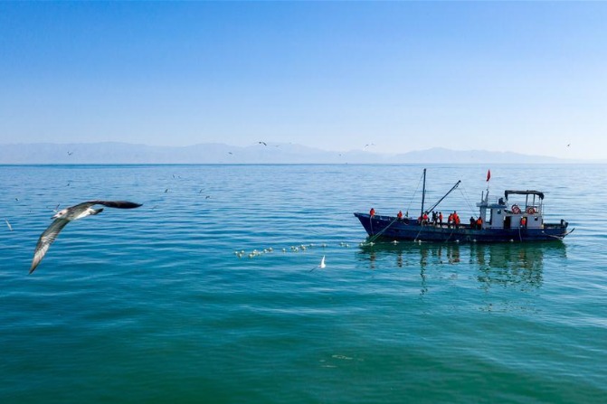 Xinjiang's pristine lake thrives through environmental conservation