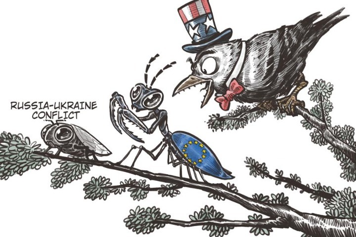 The mantis stalks the cicada, the oriole is behind